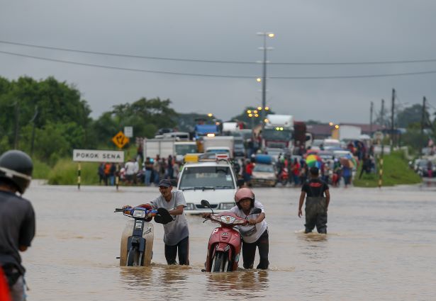 370 Hektar Sawah Padi Rosak Akibat Banjir Utusan Digital