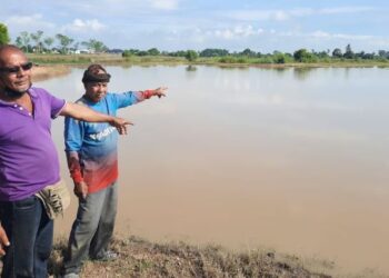 ABU Bakar Ismail (kiri) dan rakannya, Yahya Hassan menunjukkan kawasan sawah yang ditenggelami air di Kampung Alor Berala, Mukim Tobiar di Pendang. – UTUSAN/MOHD. RIFAAT ABD. HAMID