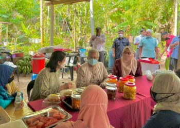 MUHAMMAD Yunus (duduk dua dari kanan) dan Sharifah Sofia Syed Mokhtar melawat projek Kluster Sifar Kemiskinan di Baling, Kedah, baru-baru ini.