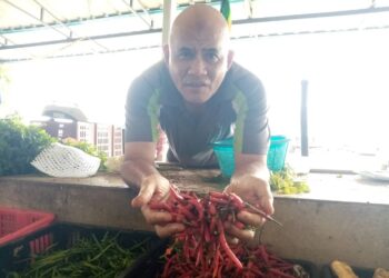 MOHD. ALWI Deraman menunjukkan cili padi merah yang dijual pada harga RM26 sekilogram  di Pasar Payang Kuala Terengganu semalam.