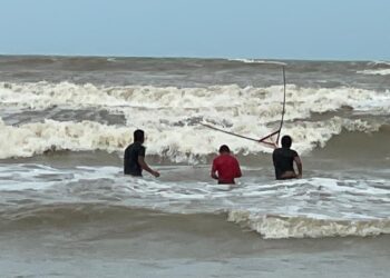 PENDUDUK menggunakan sauk besar untuk menangkap ikan belanak di Pantai Melawi, Bachok, semalam. – UTUSAN/TOREK SULONG