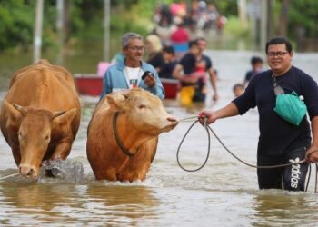 BENCANA alam berskala besar memerlukan gandingan program kerajaan dan bantuan antarabangsa yang mantap.