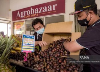 PETUGAS FAMA menunjukkan buah kristal yang mendapat sambutan hangat ketika dijual di tiga premis agensi itu semalam. – Gambar ihsan FAMA