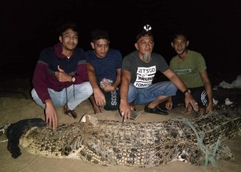 FAUZAN Ismail (dua kanan) bersama nelayan yang membantu APM menangkap seekor buaya di Tok Bali, Pasir Puteh, pagi tadi.