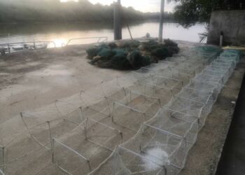 SEBANYAK 28 set bubu naga yang dirampas oleh Maritim Malaysia  di perairan Kuala Kuar, Kuala Kedah, Alor Setar, Kedah, hari ini.