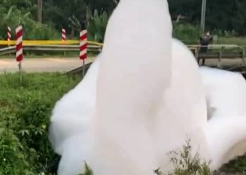 BUIH yang menggemparkan penduduk di Sungai Tranum berhampiran Kampung Tras, Raub, Pahang.