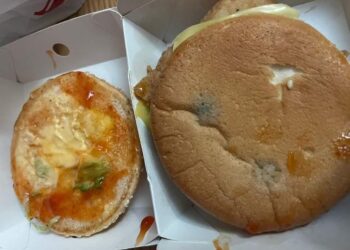 ROTI burger yang didakwa berkulat dibeli Dhia Fadhila di sebuah restoran makanan segera di bandar Chukai, Kemaman, Terengganu. - UTUSAN/NIK NUR IZZATUL HAZWANI NIK ADNAN