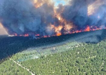 SEBAHAGIAN kawasan hutan terbakar susulan cuaca panas melampau melanda British Columbia di Kanada. - AFP