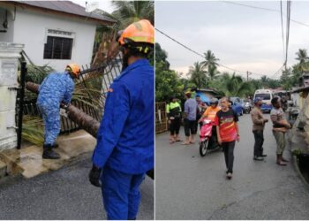 ANGGOTA APM membersihkan pokok tumbang dalam kejadian angin kencang yang berlaku di Kampung Simpang Durian, Jelebu petang tadi.