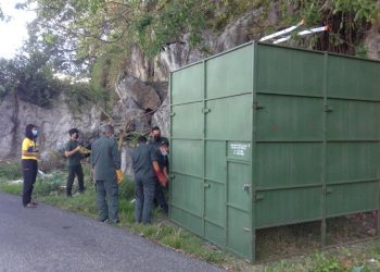 Perhilitan memasang perangkap kera bagi mengatasi masalah gangguan kera di sekitar kawasan Bukit Lagi, berhampiran Taman Mutiara, Kangar, Perlis hari ini.- UTUSAN/NAZLINA NADZARI