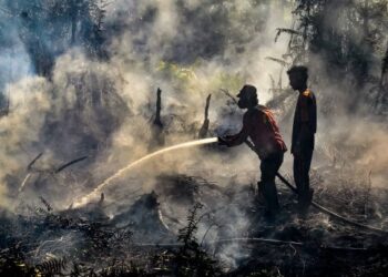 ANGGOTA bomba memadam kebakaran di tanah gambut di daerah Payung Sekaki di Pekanbaru, wilayah Riau, Indonesia. - AFP