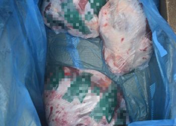 Daging kambing sejuk beku dari Australia yang disita Jabatan Perkhidmatan Kuarantin dan Pemeriksaan Malaysia (Maqis) Pulau Pinang di NBCT, Butterworth kelmarin. - IHSAN MAQIS