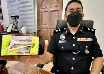 AHMAD MOHSIN MD. RODI menunjukkan keris hiasan yang digunakan suspek menikam ibunya dalam kejadian di RPA, Arau, Perlis hari ini.- UTUSAN