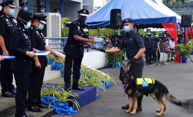 Dua Anjing K9 Terima Anugerah Ketua Polis Johor - Utusan Malaysia