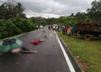 MAYAT dua beradik yang maut selepas motosikal dinaiki mereka terlanggar sebuah lori di Jalan Cheting-Kampung Pelandan, di Hulu Terengganu, semalam.