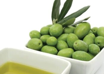 MEMAKAN buah dan minyak zaitun dapat mengurangkan masalah kulit kusam ketika Ramadan.