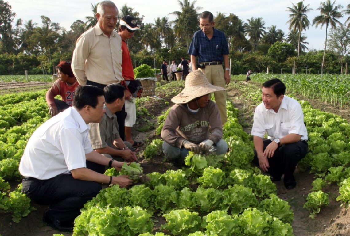 Kami rayu, jangan usir kami’ – Petani kecil Kanthan - Utusan Malaysia