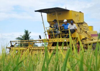 HARGA beras putih tempatan kekal RM2.60 sekilogram dan pada masa sama pengilang bersetuju menambah kuota 20 peratus bekalan beras negara. – GAMBAR HIASAN