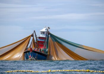 Masalah pekerja warga asing dikatakan antara faktor hasil tangkapan ikan merosot sejak tahun 2021.