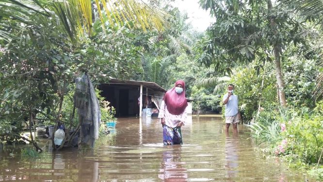 Banjir Hasrat Mulakan Ternakan Terbantut Utusan Digital