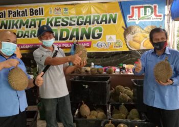 MOHAMAD Mustahapa Awang (kanan) bersama James Wong (tengah) yang merupakan Ketua Kelompok Sungai Pinang ketika meninjau Pusat Pengumpulan Ladang Durian (PPL), Jalan Sungai Pinang, Balik Pulau, Pulau Pinang.