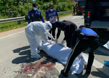 ANGGOTA polis membalut mayat Normah Sudin yang meninggal dunia selepas digilis sebuah lori dalam kemalangan di Kilometer 43, Jalan Batu 42, Simpang Parit Panjang/Batu 5 Sik, Baling, Kedah.