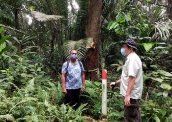 Tinajauan kawasan Hutan Simpan Kuala Langat Utara, Selangor pada  2 September 2021.