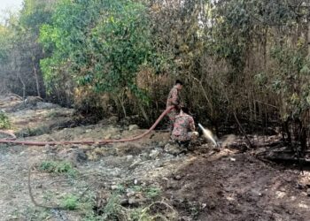 Hutan paya gambut berperanan menapis udara secara semula jadi. - GAMBAR HIASAN