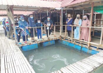 SEBAHAGIAN pengunjung melihat sebahagian ikan siakap yang diternak dalam sangkar di Restoran Terapung Sas Rimba di Taman Geoforest Karst Kilim, Langkawi, semalam. - UTUSAN/NUR AMALINA AZMAN