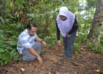 TIMBALAN Pengarah Jabatan Perhilitan Negeri Sembilan, Ismail Abdullah (kiri) bersama Pembantu Hidupan Liar Perhilitan, Nor Azura Zakaria (kanan) meninjau jejak haiwan di kawasan belukar berhampiran Taman Seremban 3, Seremban, hari ini. - FOTO/ZAKKINA WATI AHMAD TARMIZI