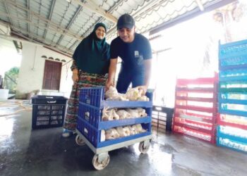 MUHAMMAD Siddiq Mohd. Sokran menunjukkan ayam siap diproses untuk dipasarkan sambil diperhatikan Norkiah Embong di Kampung Makam, Mersing, Johor. -UTUSAN/MASTURAH SURADI