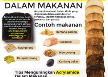 SUMBER akrilamid yang paling utama dalam makanan harian adalah kentang goreng, kerepek pisang, nasi goreng dan mi goreng. – IHSAN KEMENTERIAN KESIHATAN