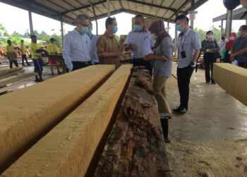 WEE JECK SENG (dua dari kiri) meninjau bahan mentah kayu dalam lawatan kerja di NZA Wood Trading Sdn. Bhd. di Semujuk, Melaka. - UTUSAN DIYANATUL ATIQAH ZAKARYA