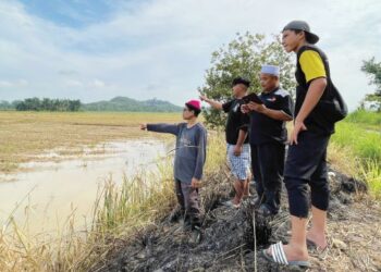 SEBAHAGIAN pesawah menunjukkan petak sawah yang tidak dapat diusahakan berikutan sumber air tidak mencukupi di Jitra, Kubang Pasu. – UTUSAN/SHAHIR NOORDIN