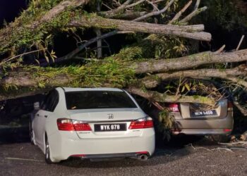 DUA kenderaan yang diparkir di hadapan sebuah hotel di Geliga, Kemaman, Terengganu mengalami kerosakan selepas dihempap dua batang pokok ekoran angin kencang malam tadi.