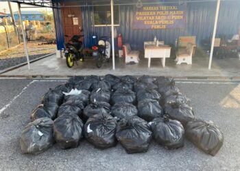 POLIS marin Kuala Kedah merampas kira-kira 430 kilogram daun ketum bernilai RM43,000 dan menahan seorang remaja lelaki dalam dua serbuan berasingan di Simpang Empat dan Kuala Perlis, semalam.- UTUSAN