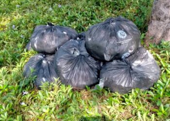 SEBAHAGIAN bungkusan plastik hitam berisi daun ketum dirampas Maritim Malaysia dalam Op Benteng di perairan Kuala Perlis, Perlis, semalam.