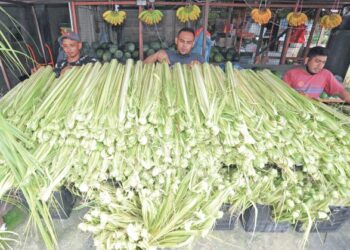 TIGA pekerja menyusun daun membuat ketupat yang dijual pada harga RM9 seikat di Jalan Masjid, Kampung Melayu Majidee, Johor Bahru. - MINGGUAN/RAJA JAAFAR ALI