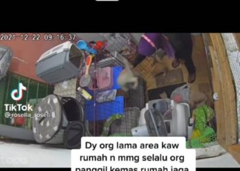 TANGKAP layar CCTV  yang dimuat naik diTikTok rosella_rosell memaparkan seorang wanita melempar kucing ke dalam sangkar.