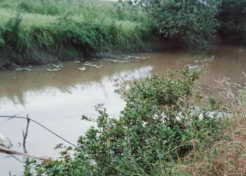 LOKASI mangsa yang ditemukan lemas oleh orang awam ketika memasang jaring ikan di anak sungai Kampung Jambatan Merdeka, Kota Kuala Muda di Sungai Petani.