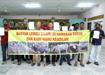 PENTERNAK lembu yang kehilangan haiwan ternakan mereka pada sidang akhbar di Batu Gajah hari ini. - UTUSAN/MUHAMAD NAZREEN SYAH MUSTHAFA