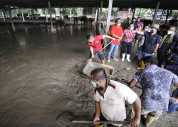 RONALD Kiandee melihat keadaan kandang lembu yang disaluti lumpur akibat banjir di Kampung Esok, Chennah, Jelebu, Negeri Sembilan, hari ini.--UTUSAN/MOHD. SHAHJEHAN MAAMIN