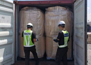 PEGAWAI Maqis memeriksa makanan gluten jagung atau Corn Gluten Meal di dalam kontena di Pelabuhan Klang, Selangor, kelmarin.