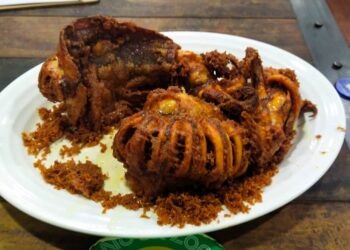 HIDANGAN sotong goreng yang dijual pada harga RM100 di Restoran Nasi Kandar Hameediyah yang disensasikan di dalam media sosial.