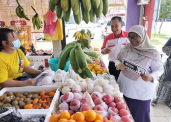 SITI Rahayu Baharin beramah mesra dengan penduduk setempat di sekitar Tanjong Karang, Selangor.-UTUSAN/ ISKANDAR SHAH MOHAMED