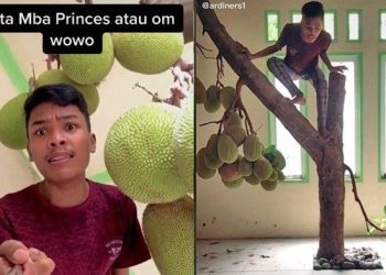 POKOK nangka tumbuh dalam rumah dan terus menghasilkan buah. -TRIBUN NEWS