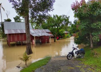  KEADAAN rumah penduduk yang dinaiki air di Kampung Tengah, Gemencheh, Tampin pagi ini. - UTUSAN/NOR AINNA HAMZAH