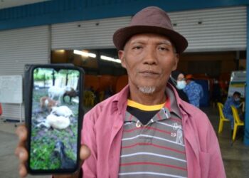 AMIR Mohd. Talib menunjukkan gambar kambing biri-birinya yang mati akibat banjir kilat di Kampung Air Taling, Dangi, Kuala Pilah semalam. - FOTO/ZAKKINA WATI AHMAD TARMIZI