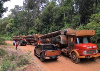 POLIS Johor dan Jabatan Perhutanan negeri melancarkan operasi bagi mengesan aktiviti pembalakan haram Hutan Simpan Lenggor di Kluang, Johor hari ini. - FOTO/MOHAMAD FAHD RAHMAT