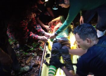 ANGGOTA bomba Kuala Berang membawa keluar kakitangan Perhilitan yang dipatuk ular menggunakan pengusung di Hutan Simpan Sekayu, Hulu Terengganu, semalam.